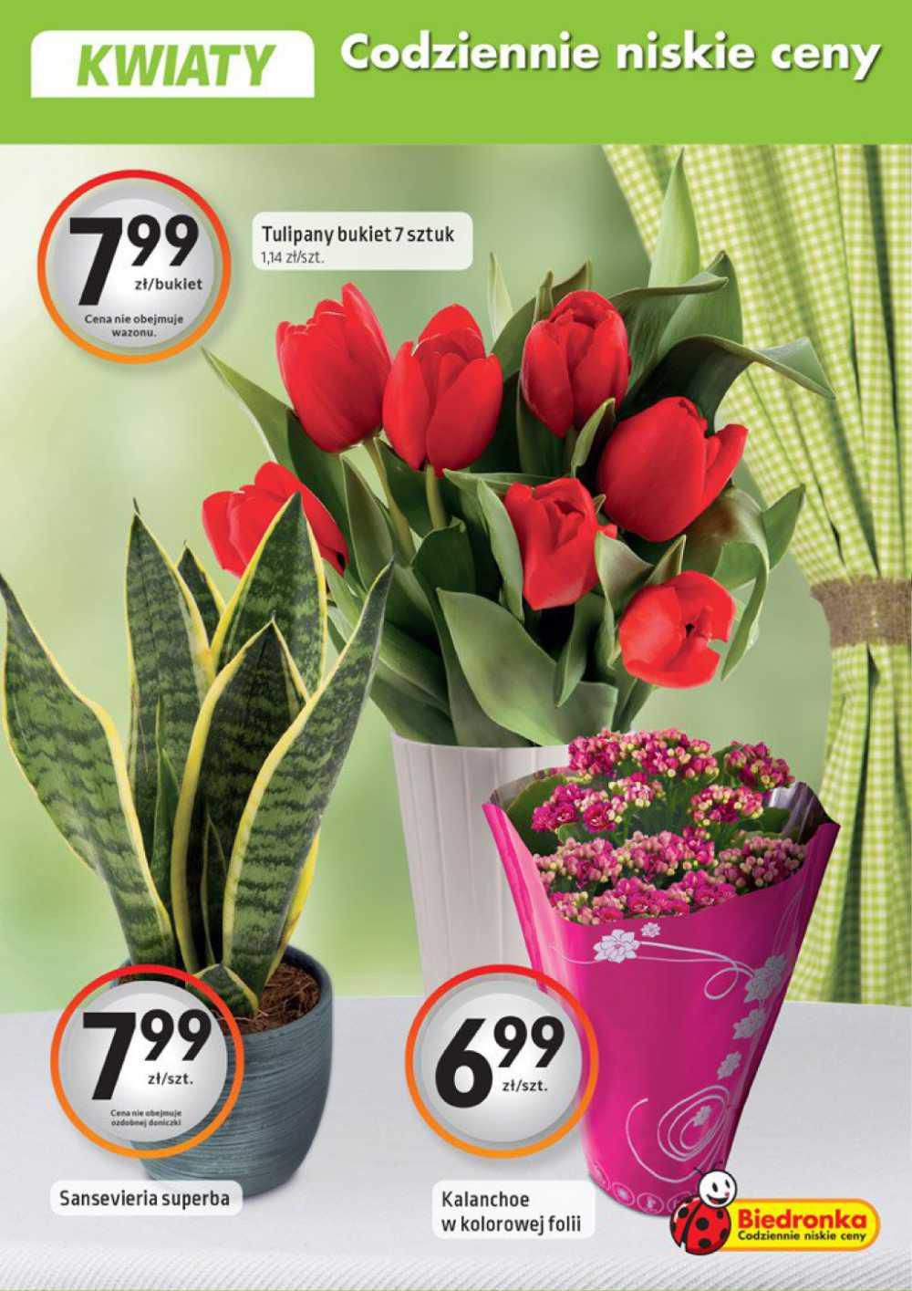 Gazetka promocyjna Biedronka str. 17