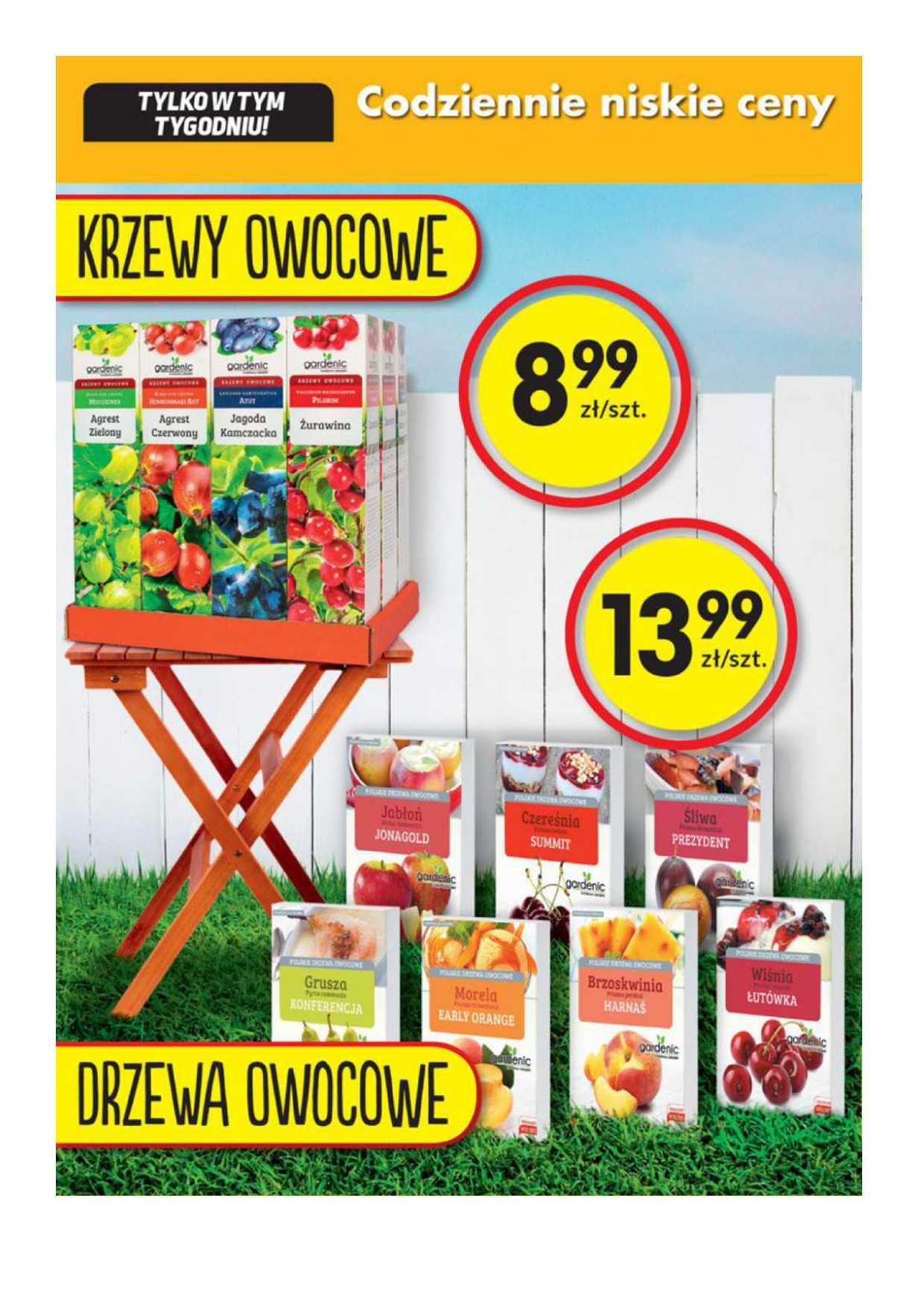 Gazetka promocyjna Biedronka str. 19