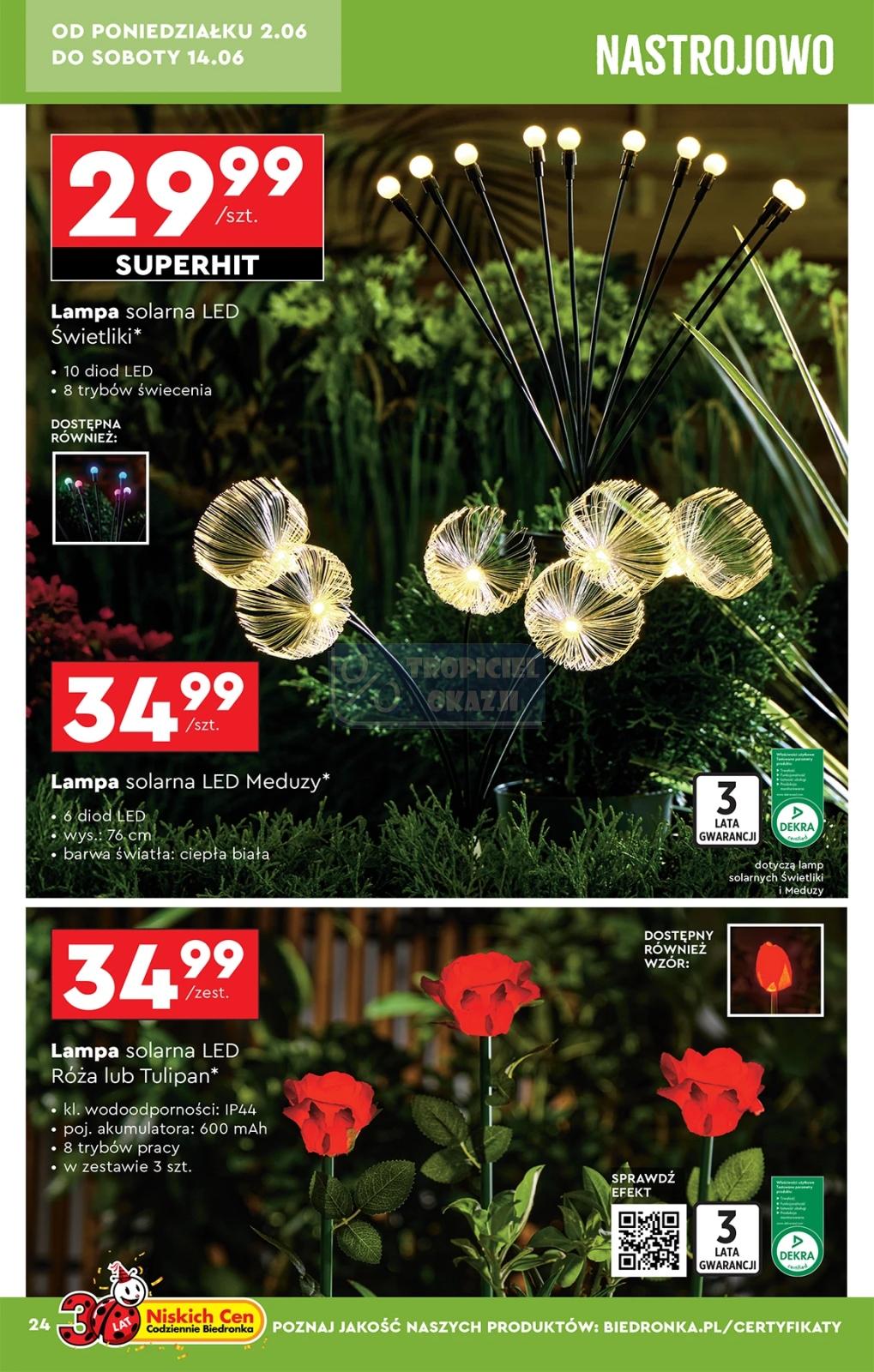 Gazetka promocyjna Biedronka str. 25