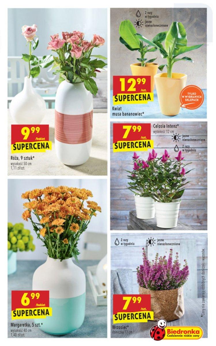Gazetka promocyjna Biedronka str. 41