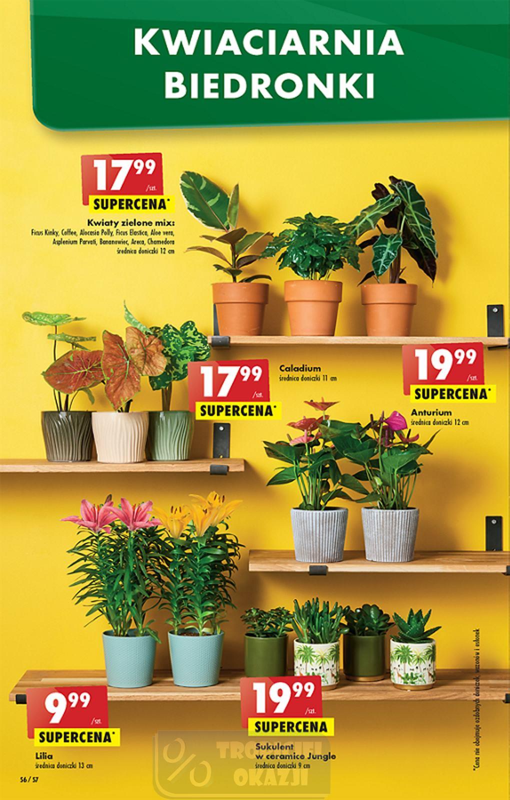 Gazetka promocyjna Biedronka str. 56