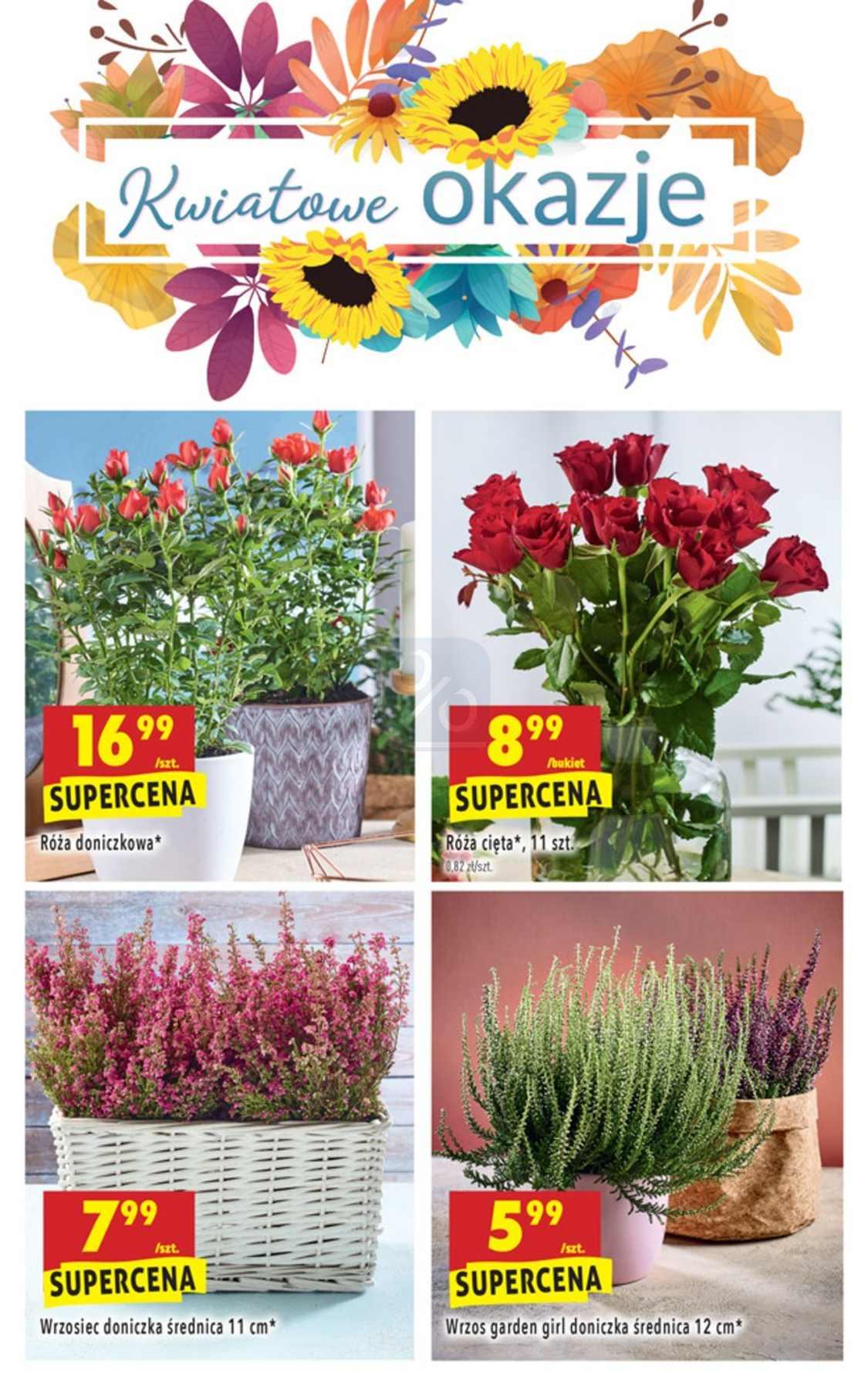 Gazetka promocyjna Biedronka str. 45