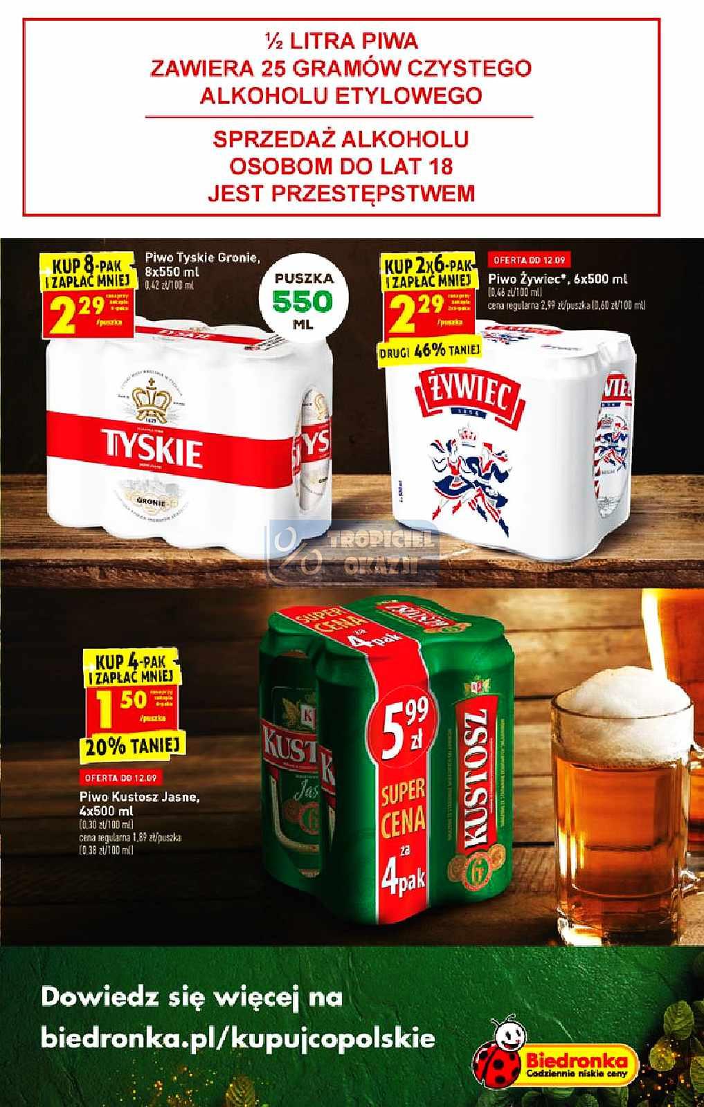 Gazetka promocyjna Biedronka str. 43