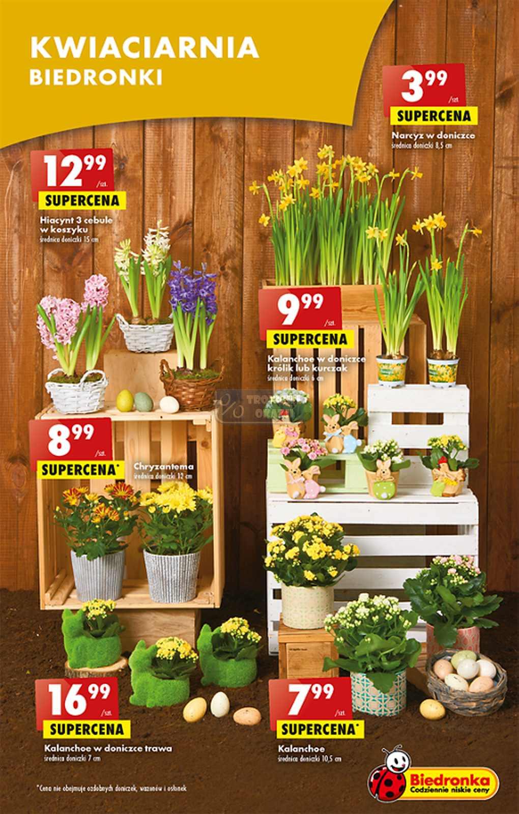 Gazetka promocyjna Biedronka str. 15