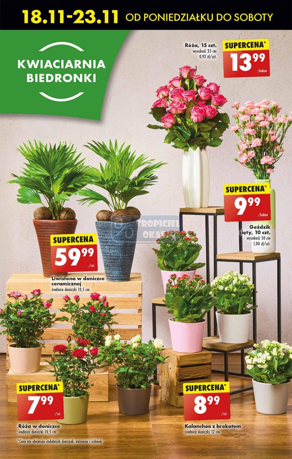 Gazetka promocyjna Biedronka str. 75