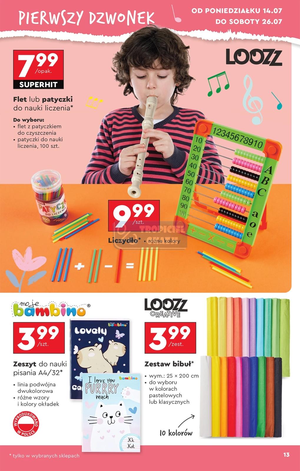 Gazetka promocyjna Biedronka str. 13