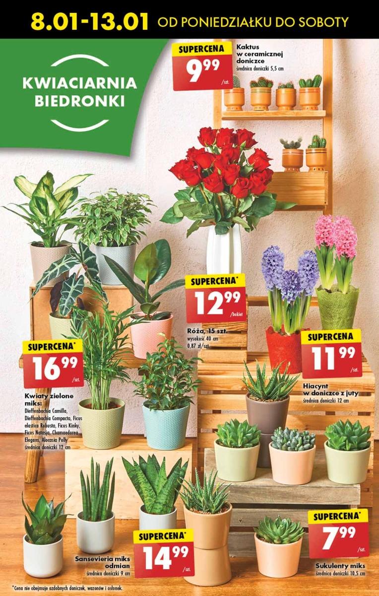 Gazetka promocyjna Biedronka str. 16