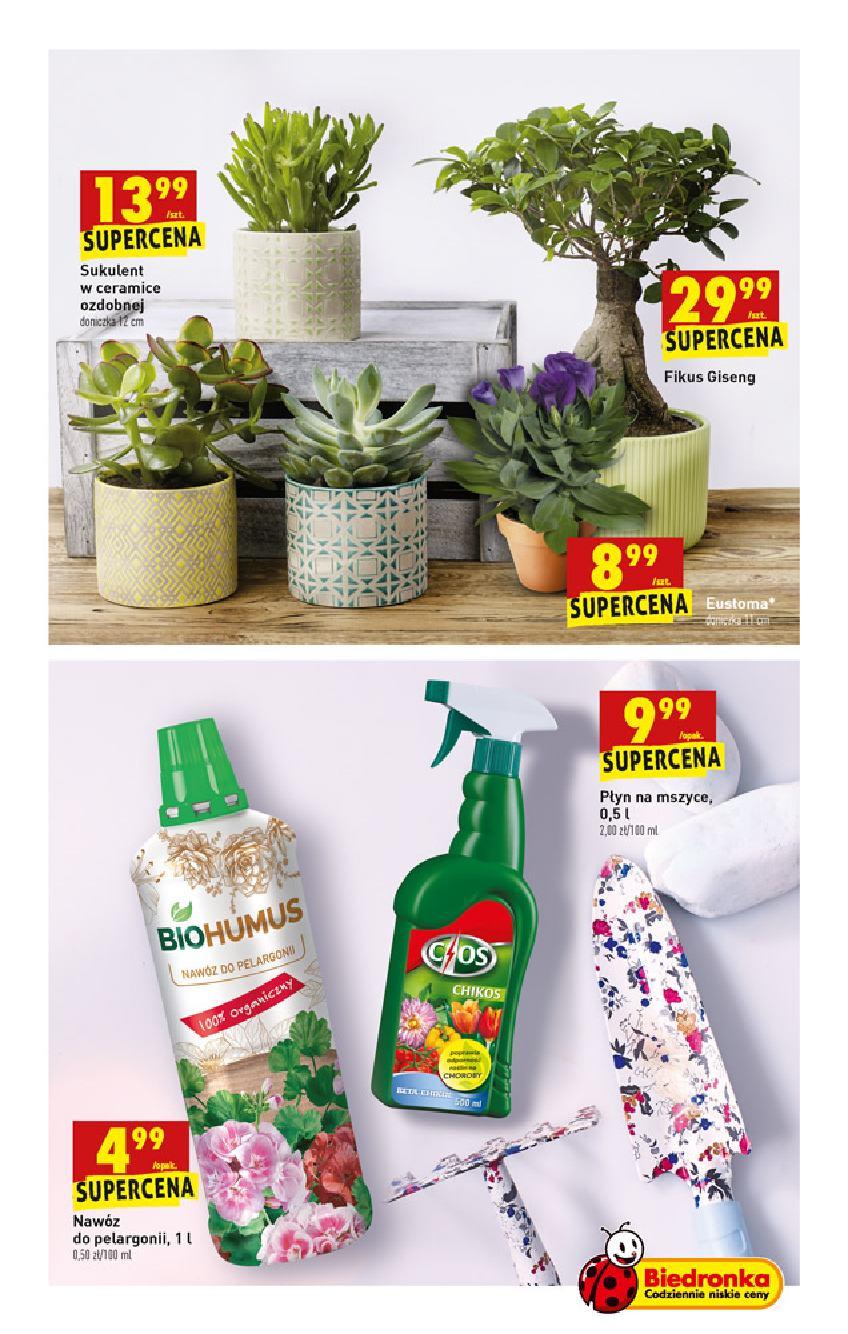Gazetka promocyjna Biedronka str. 71