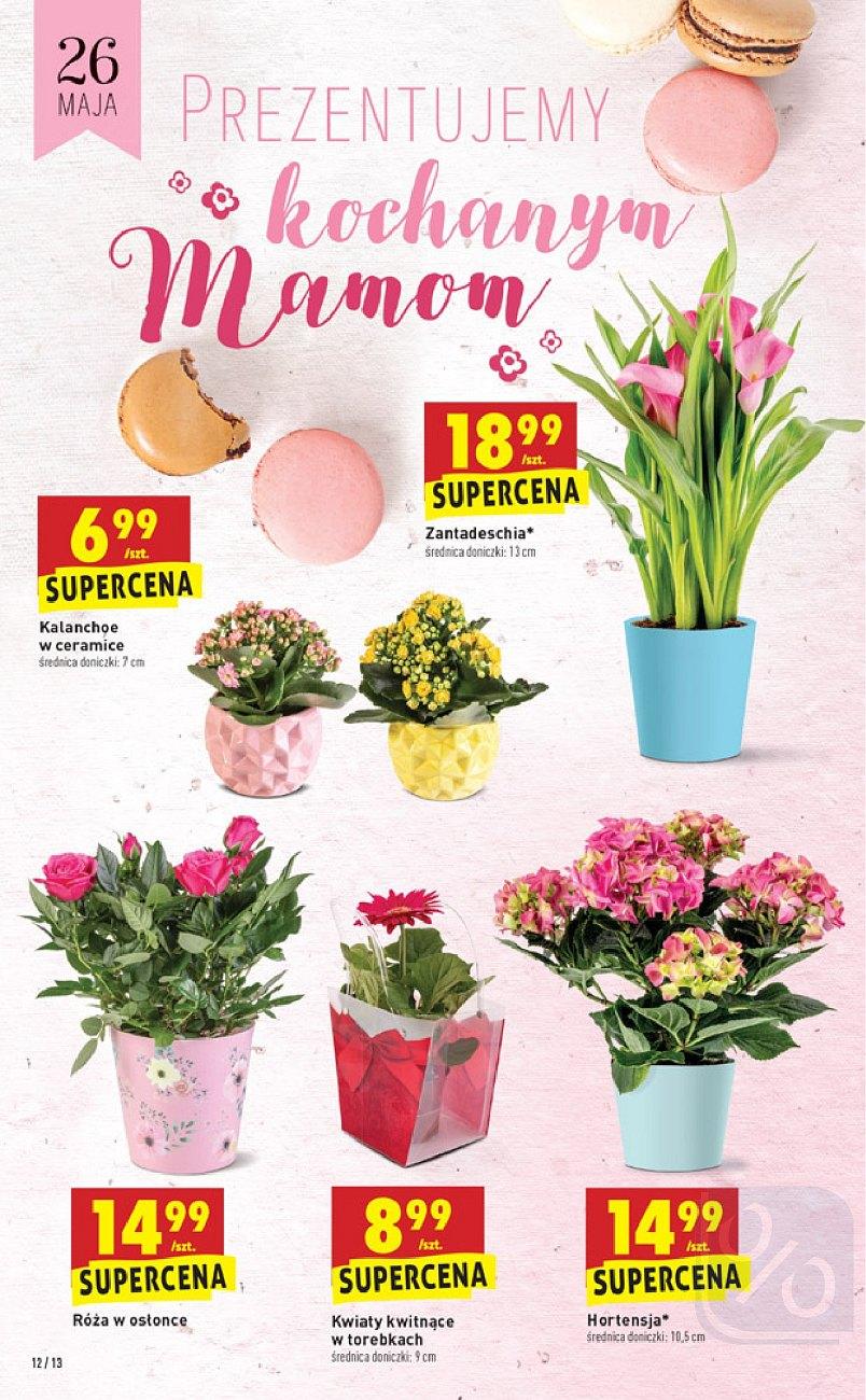 Gazetka promocyjna Biedronka str. 12