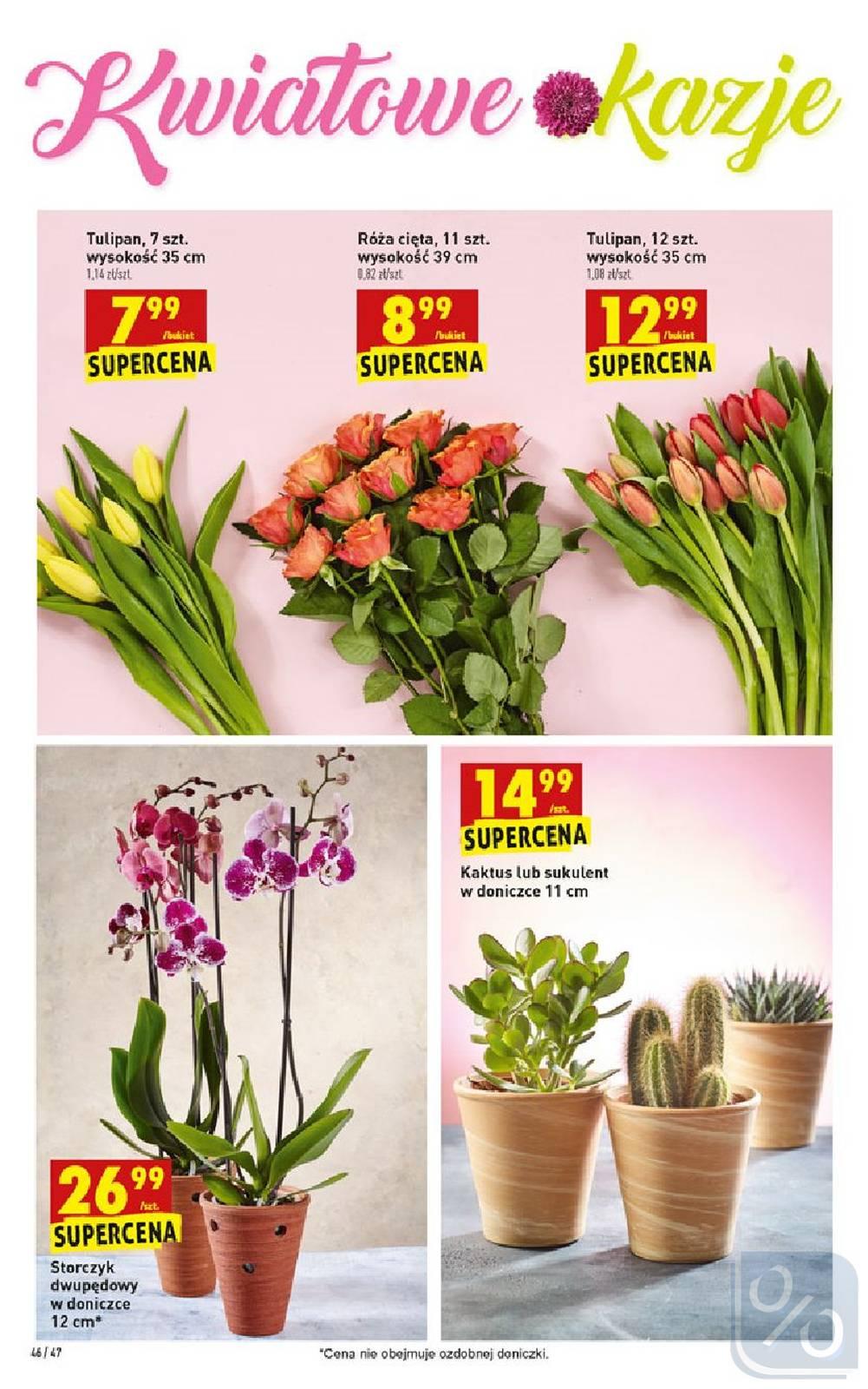 Gazetka promocyjna Biedronka str. 46