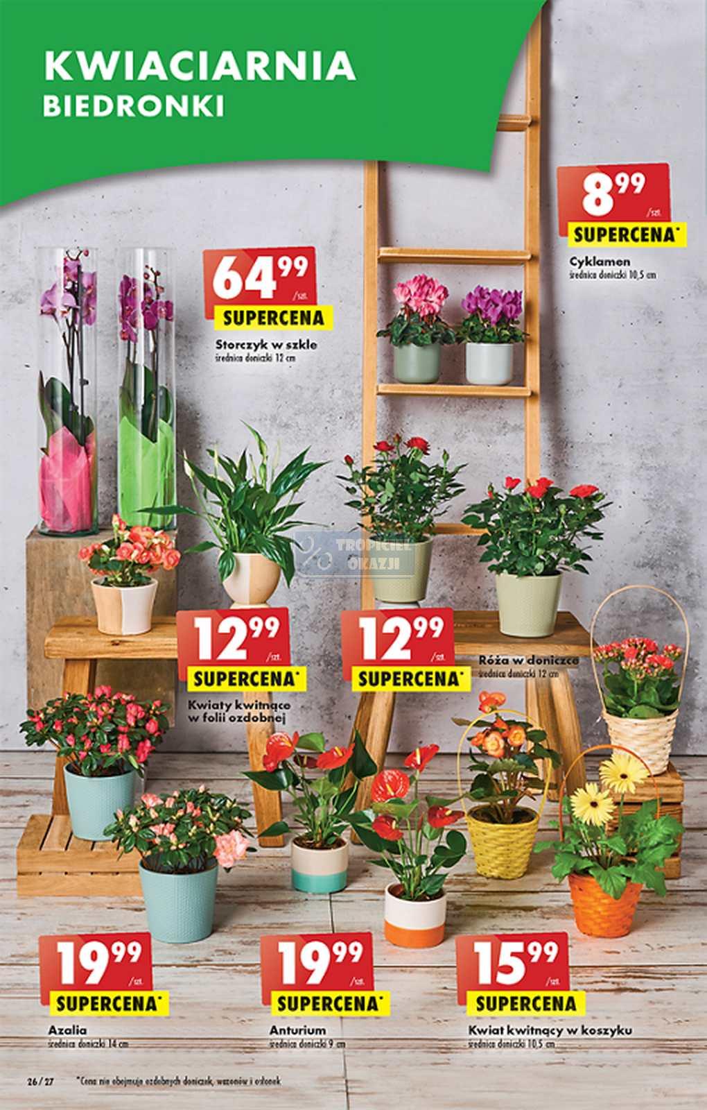 Gazetka promocyjna Biedronka str. 26