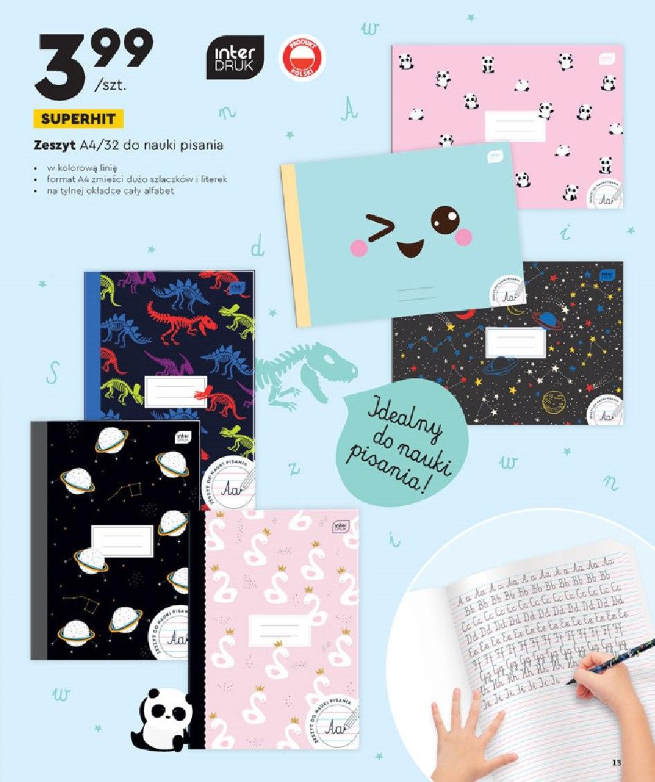 Gazetka promocyjna Biedronka str. 13