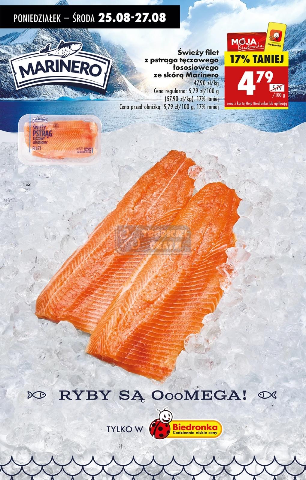 Gazetka promocyjna Biedronka str. 48