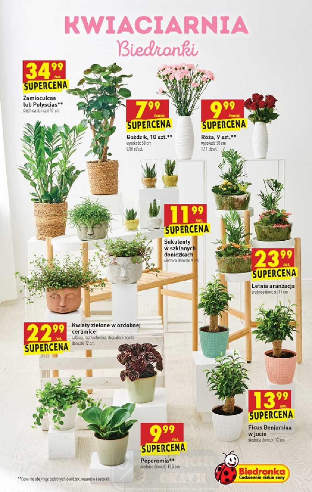 Gazetka promocyjna Biedronka str. 53