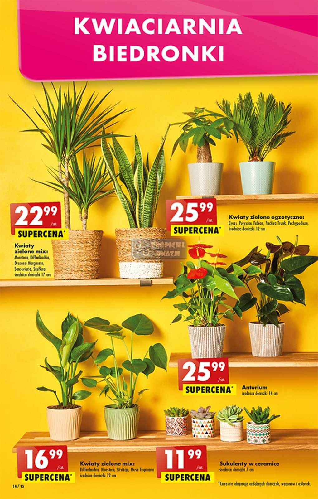 Gazetka promocyjna Biedronka str. 14