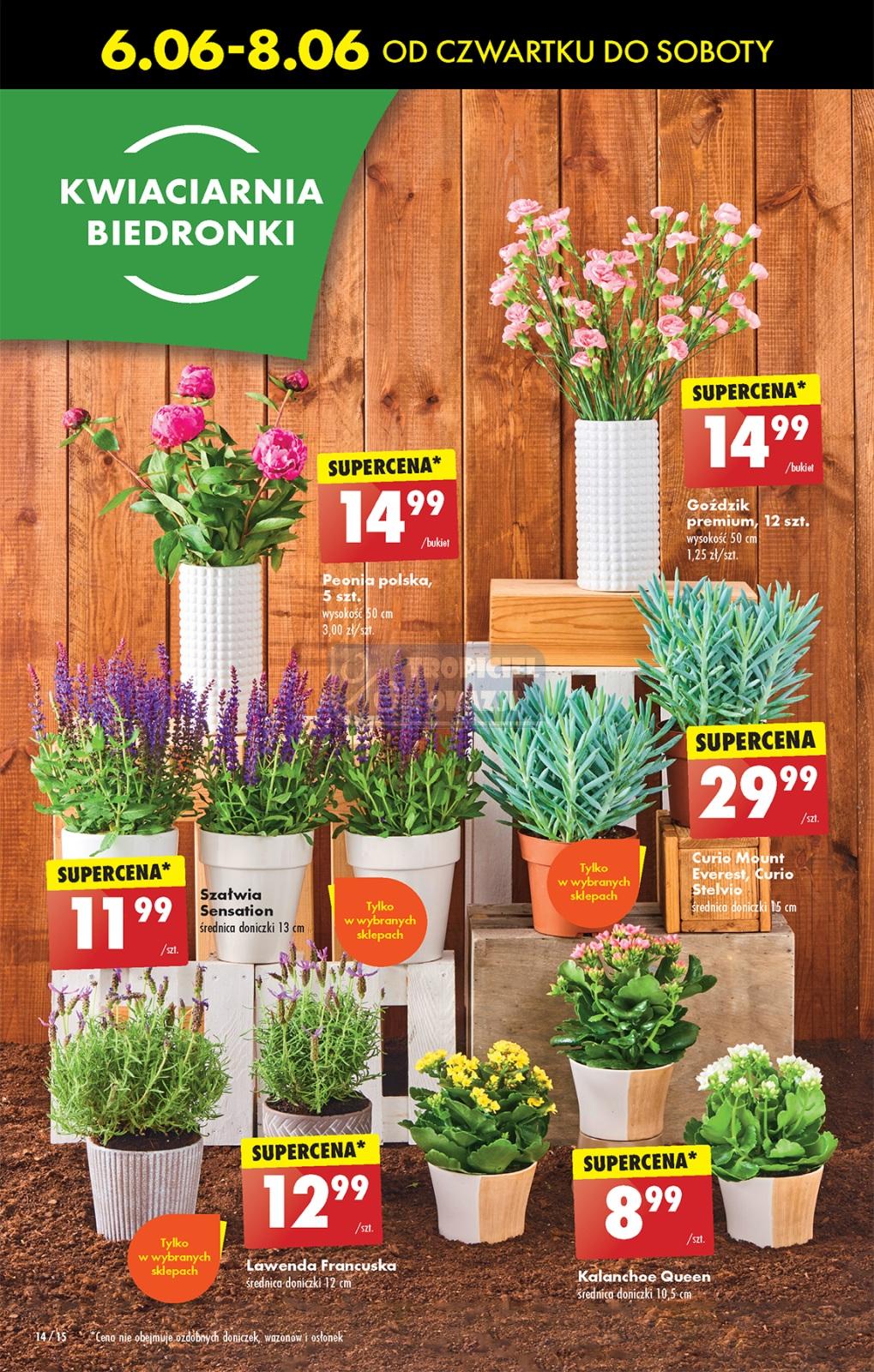 Gazetka promocyjna Biedronka str. 14