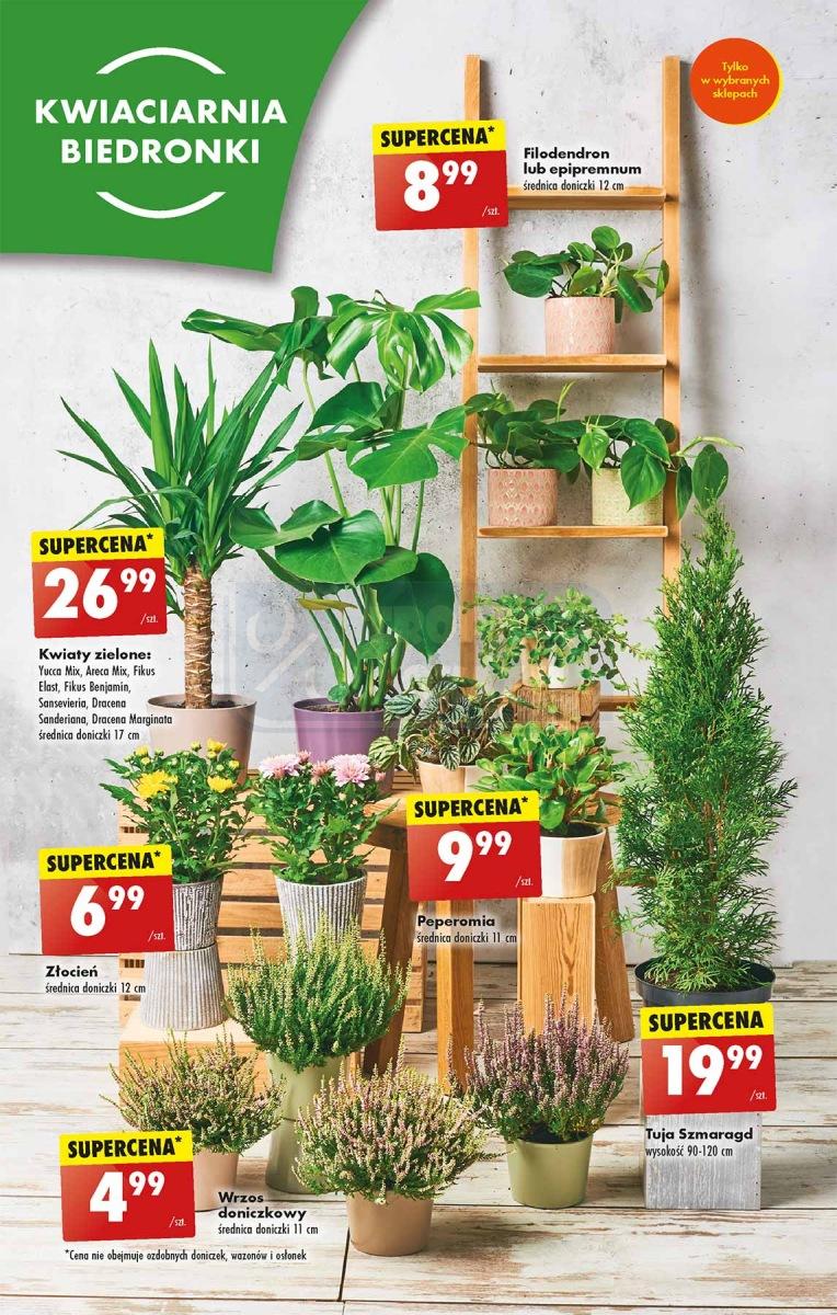 Gazetka promocyjna Biedronka str. 56