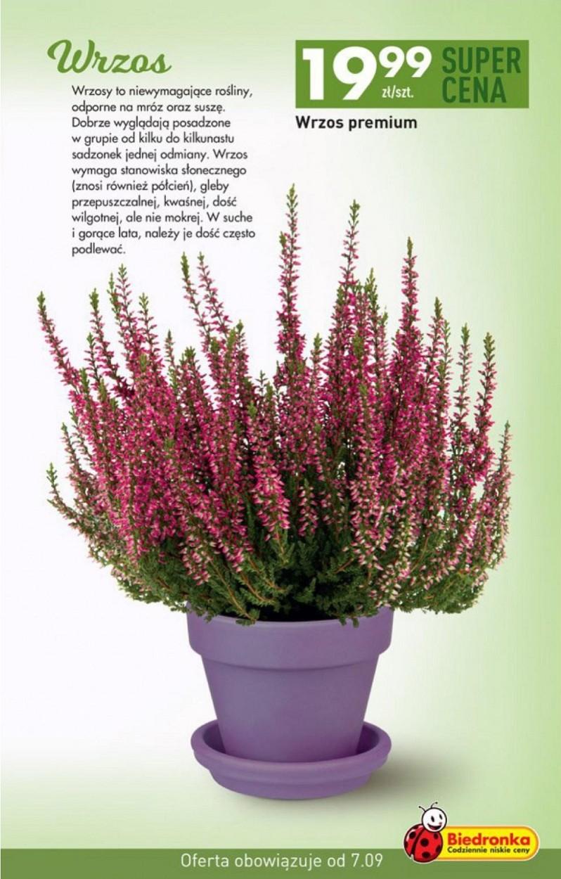 Gazetka promocyjna Biedronka str. 27