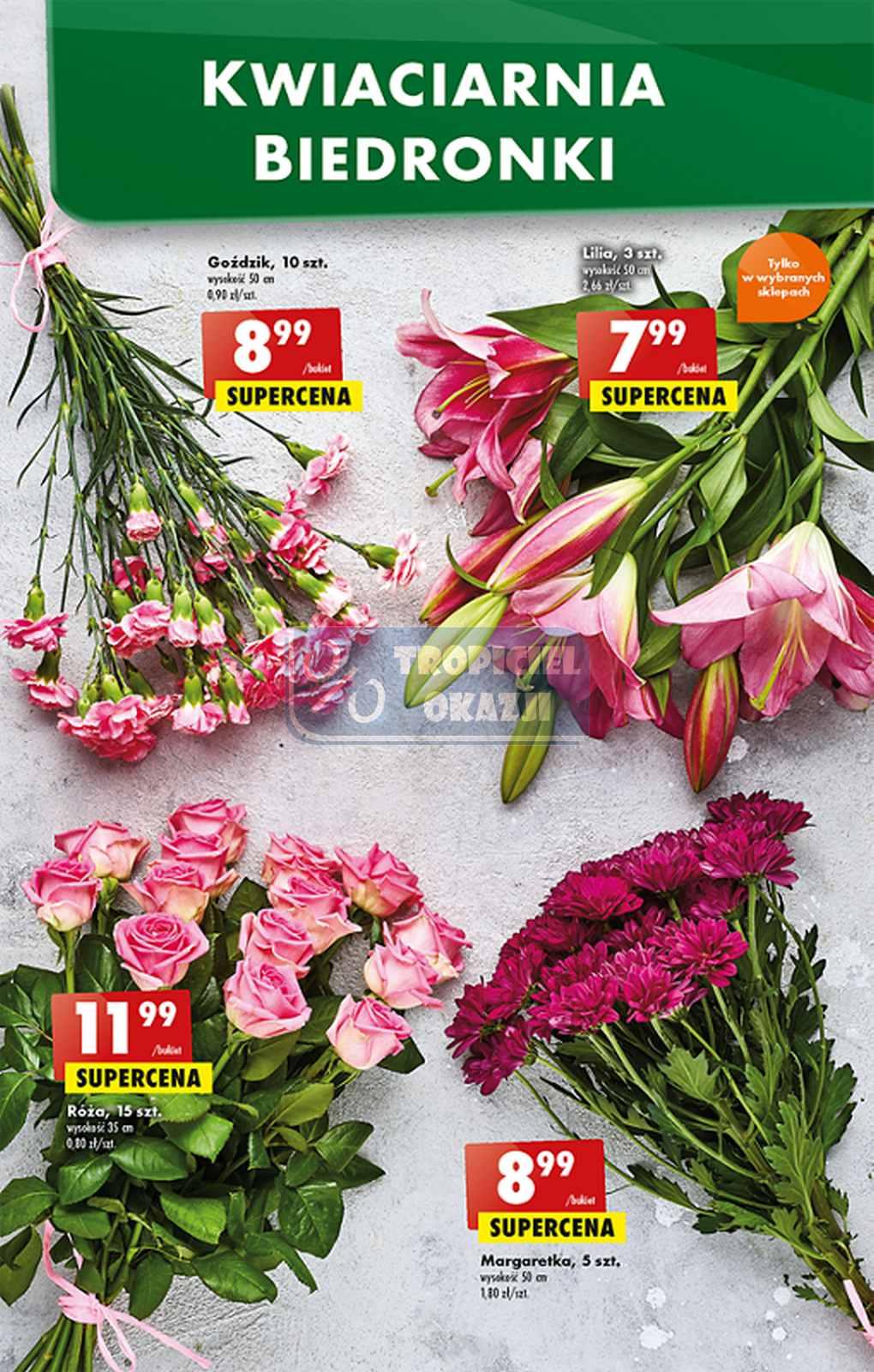 Gazetka promocyjna Biedronka str. 48