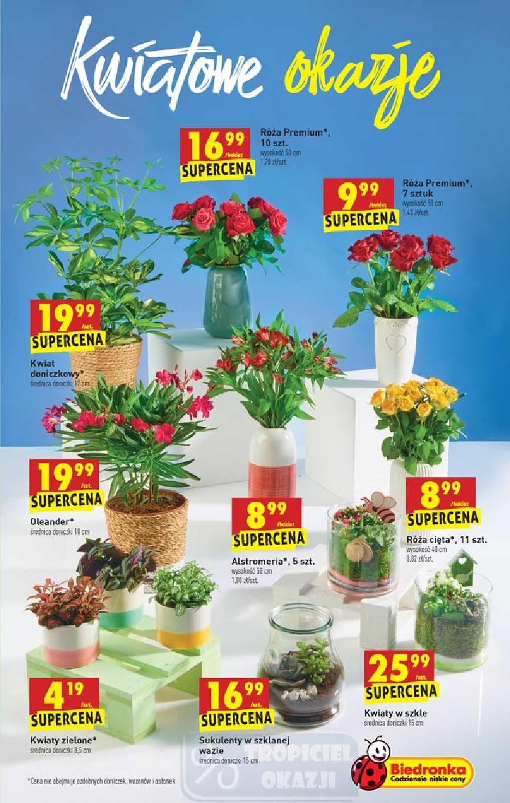 Gazetka promocyjna Biedronka str. 47