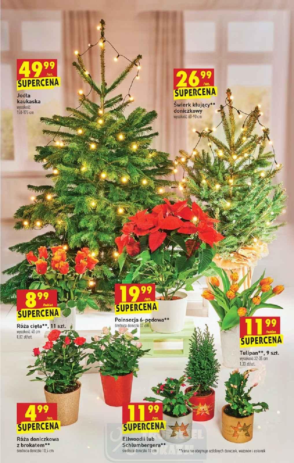 Gazetka promocyjna Biedronka str. 9