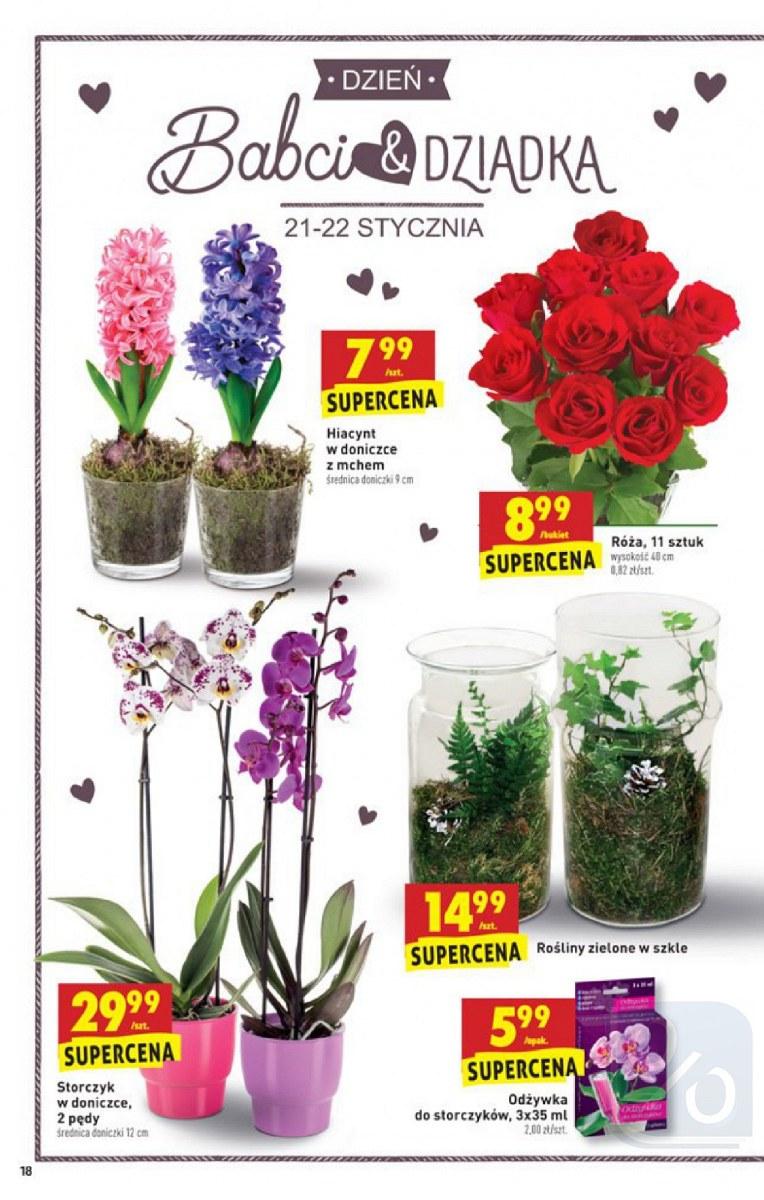 Gazetka promocyjna Biedronka str. 18