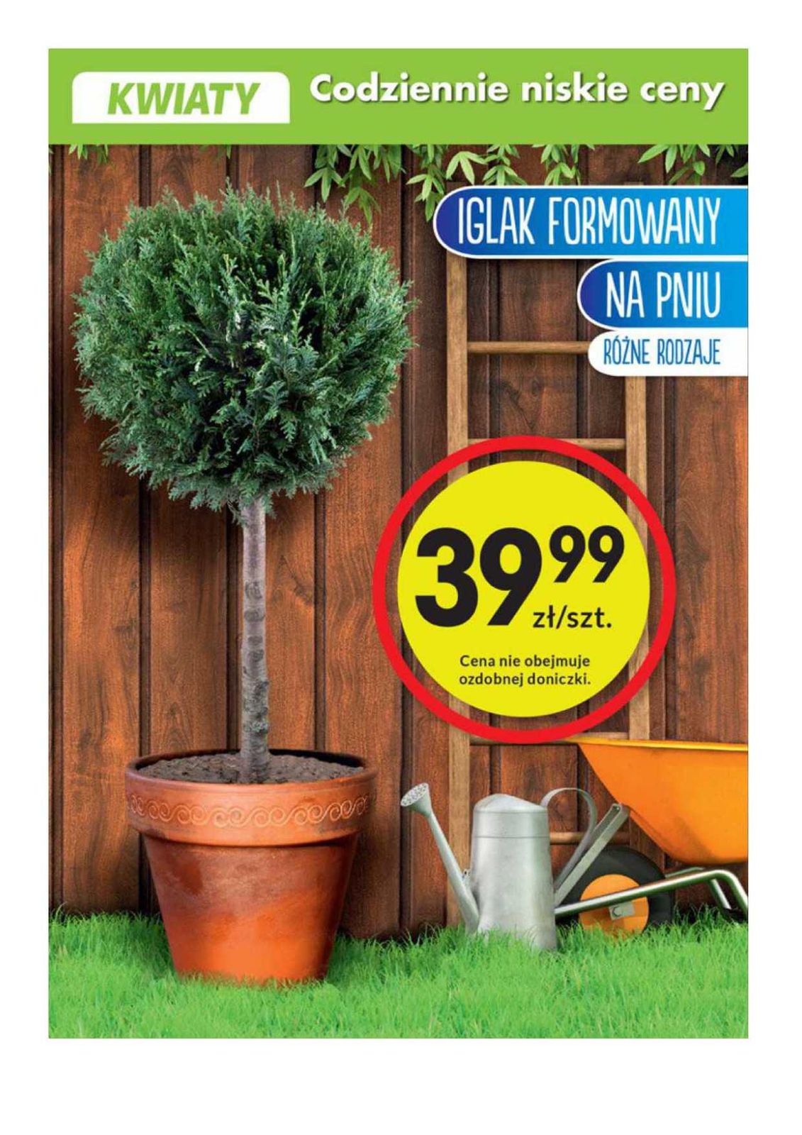 Gazetka promocyjna Biedronka str. 17