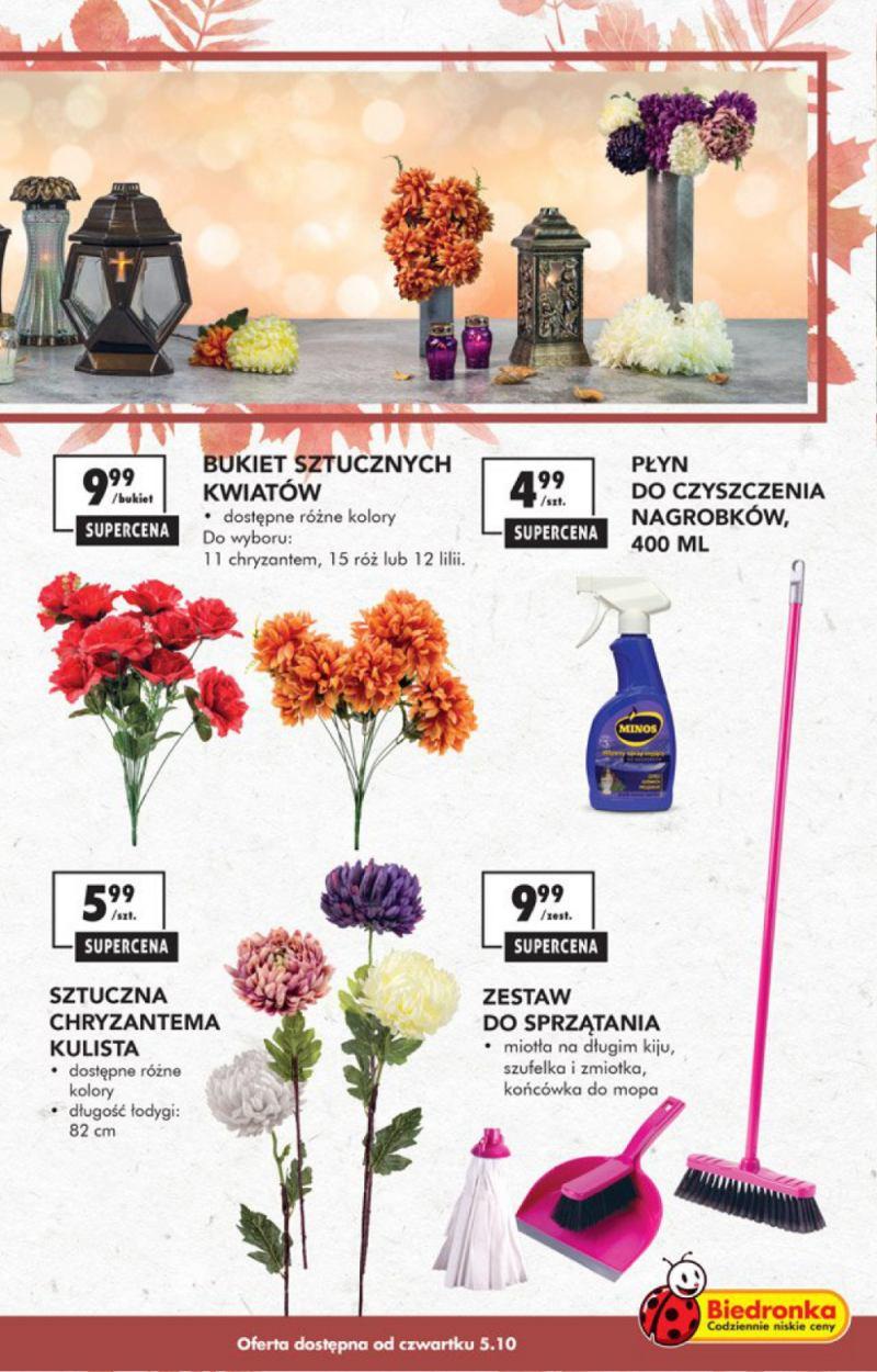 Gazetka promocyjna Biedronka str. 13