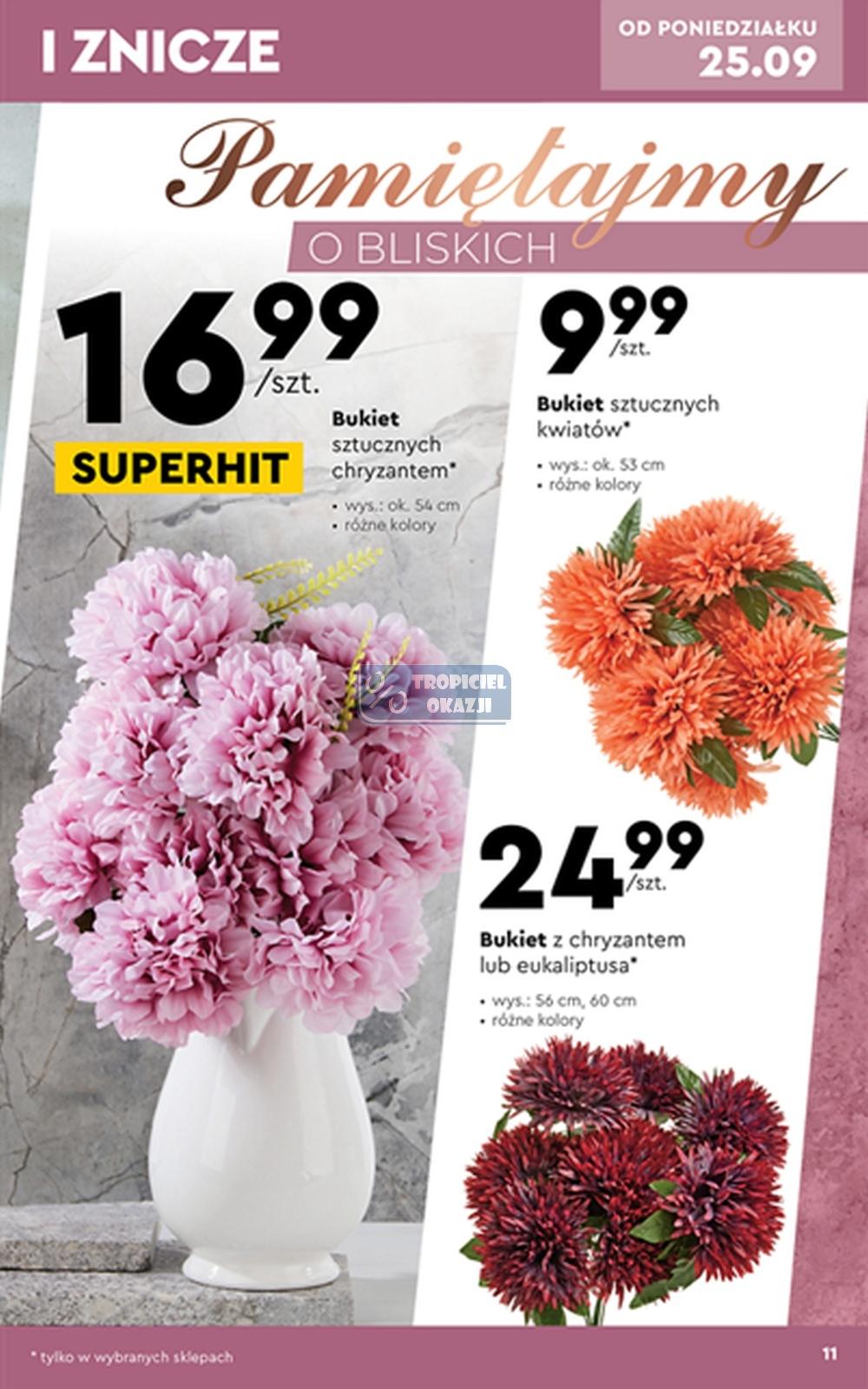 Gazetka promocyjna Biedronka str. 11