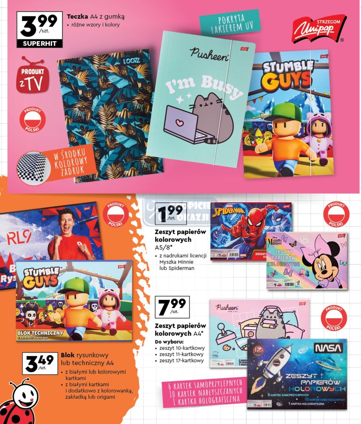 Gazetka promocyjna Biedronka str. 38