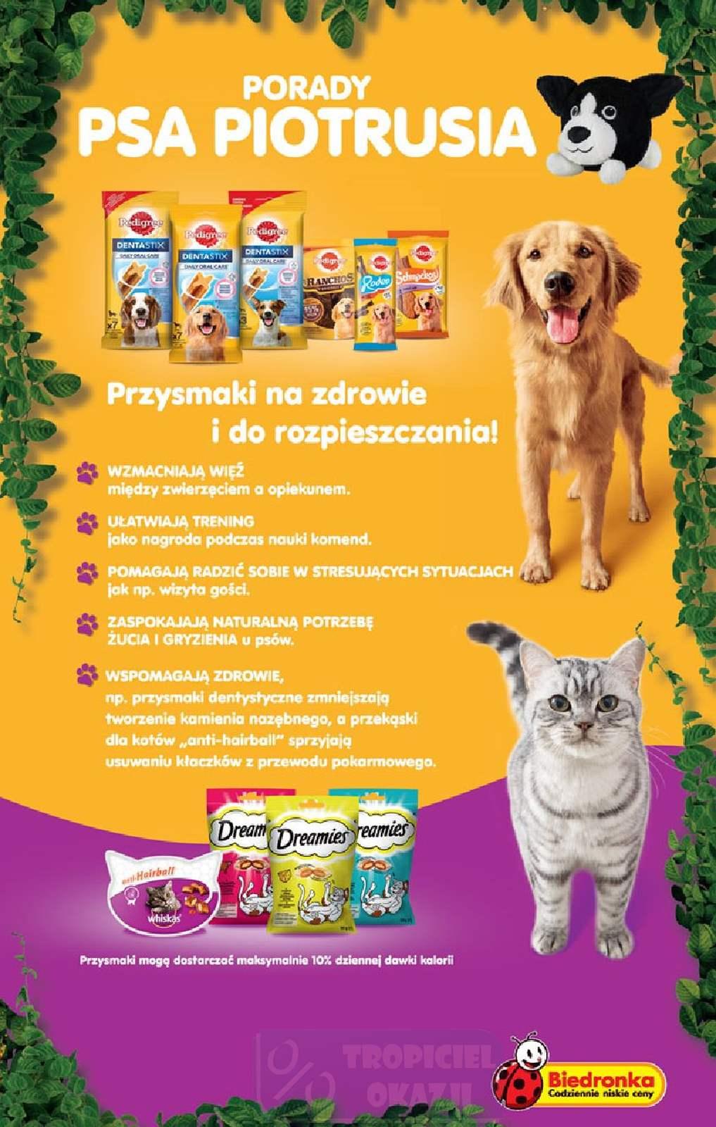 Gazetka promocyjna Biedronka str. 11