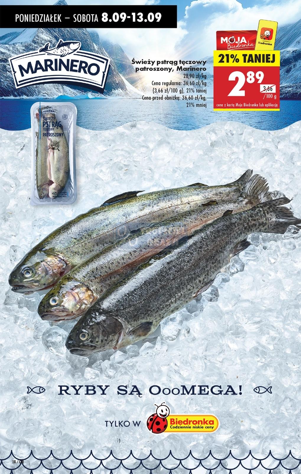 Gazetka promocyjna Biedronka str. 69