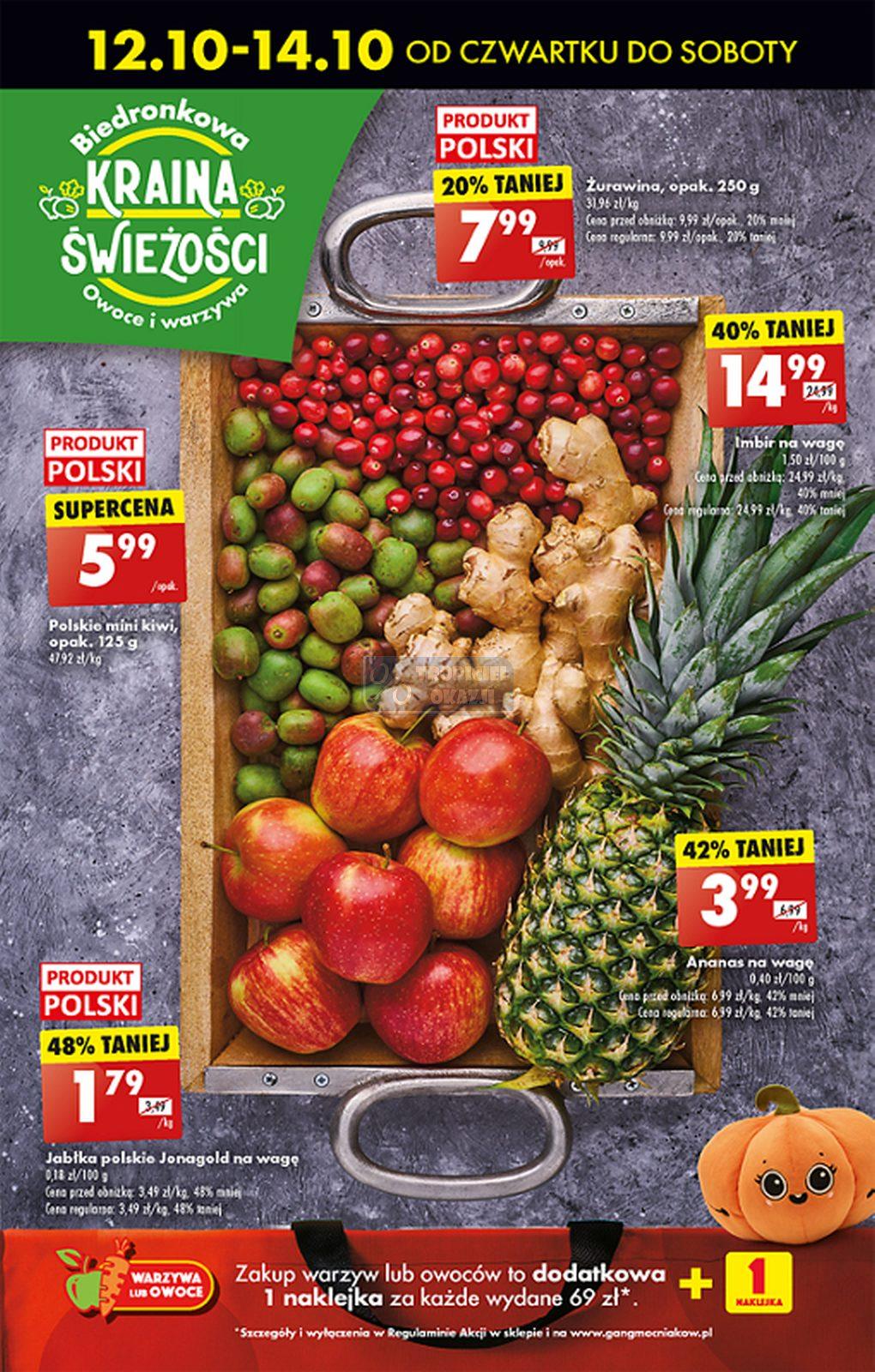 Gazetka promocyjna Biedronka str. 17