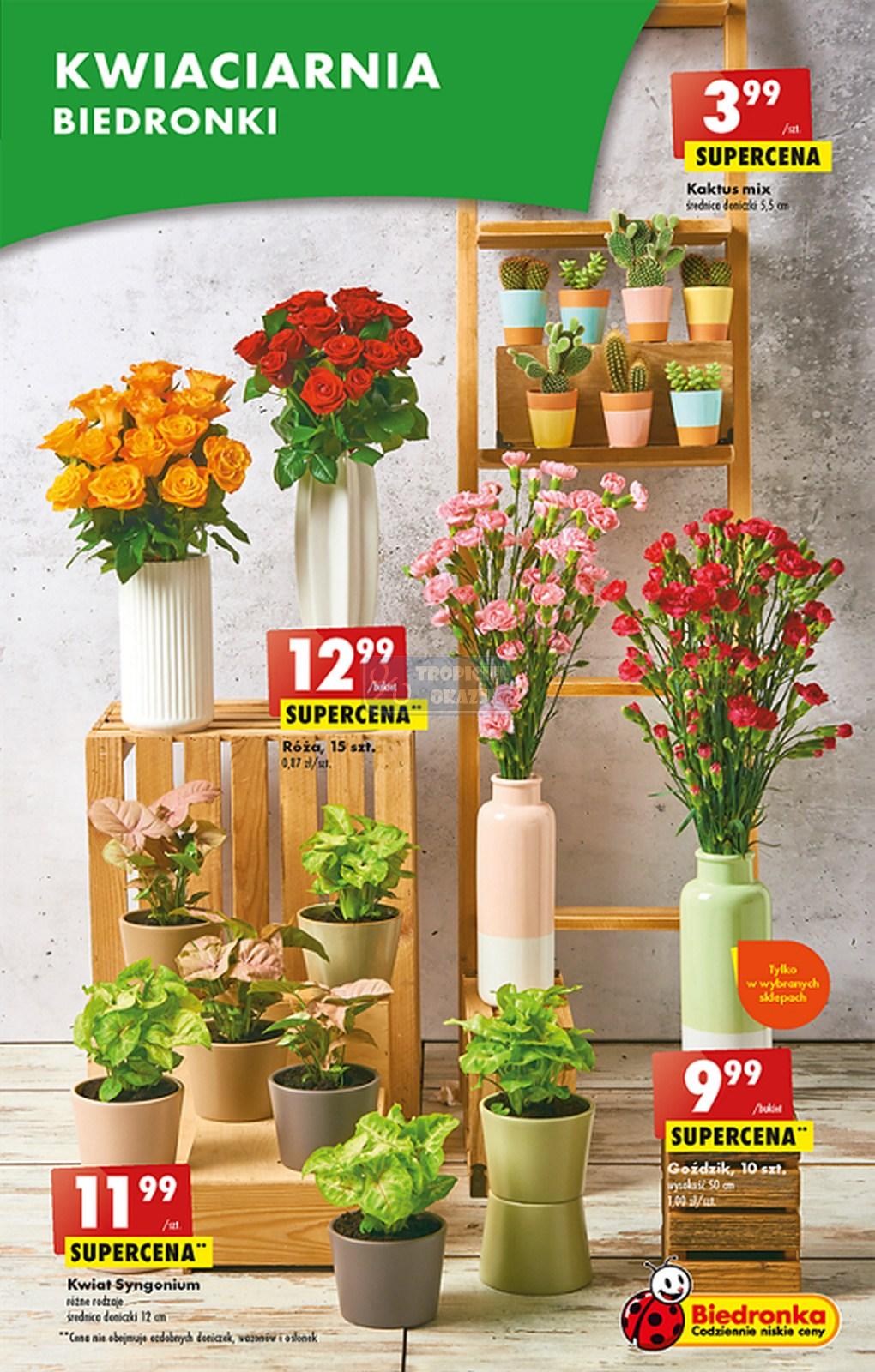 Gazetka promocyjna Biedronka str. 17