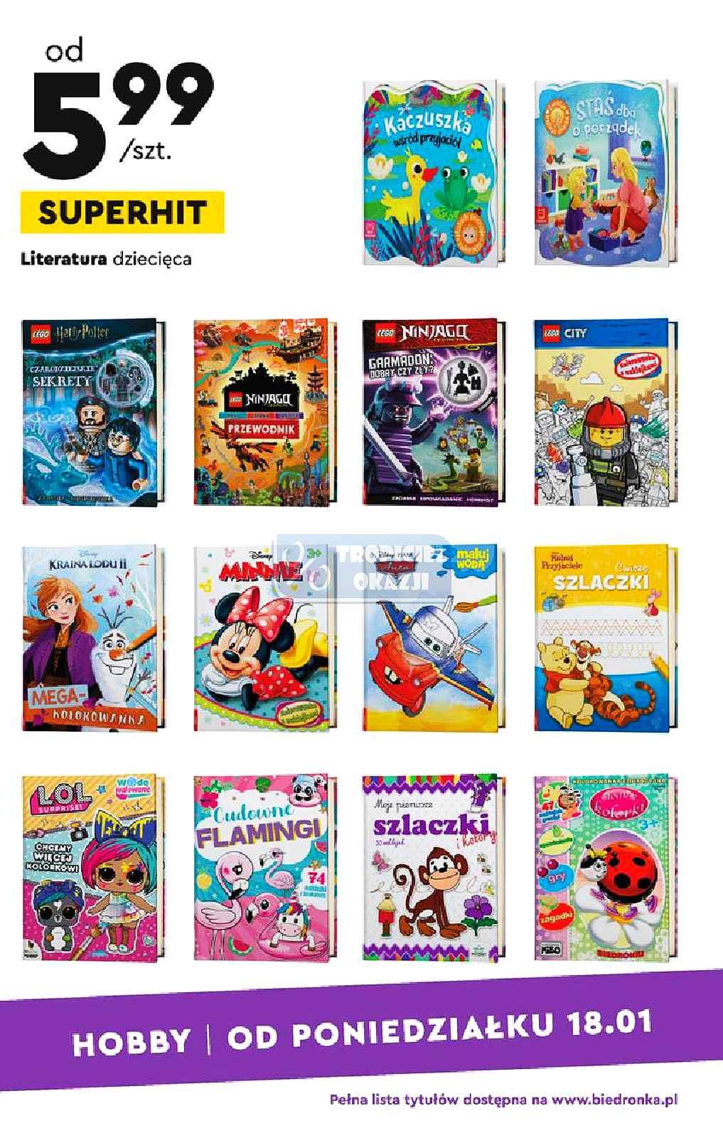 Gazetka promocyjna Biedronka str. 17