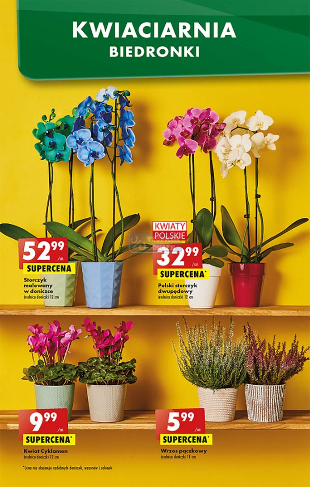 Gazetka promocyjna Biedronka str. 56