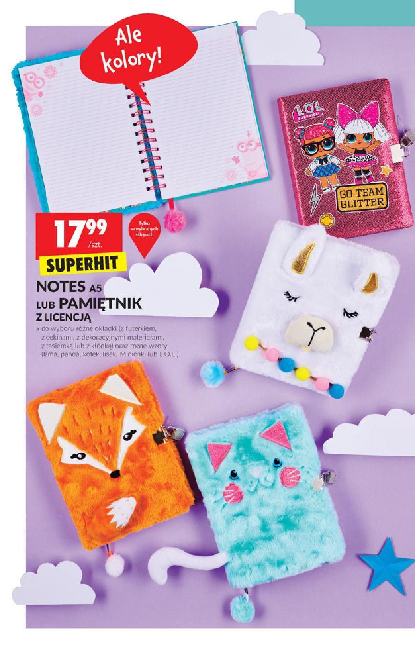 Gazetka promocyjna Biedronka str. 6