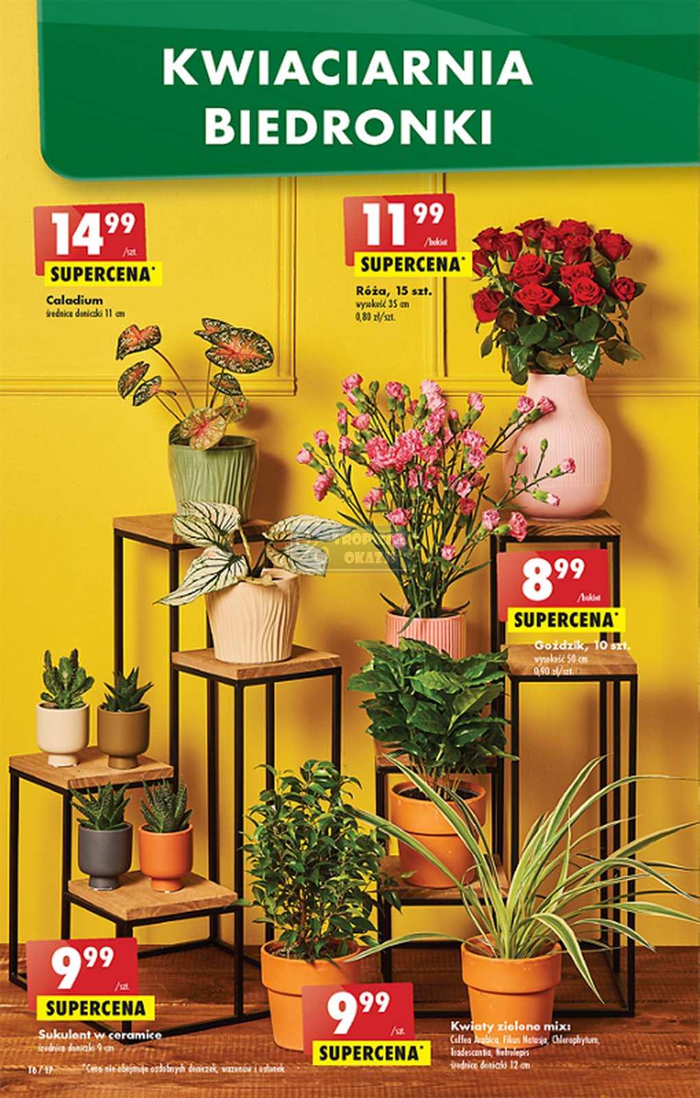 Gazetka promocyjna Biedronka str. 16