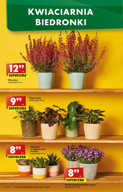 Gazetka promocyjna Biedronka str. 10