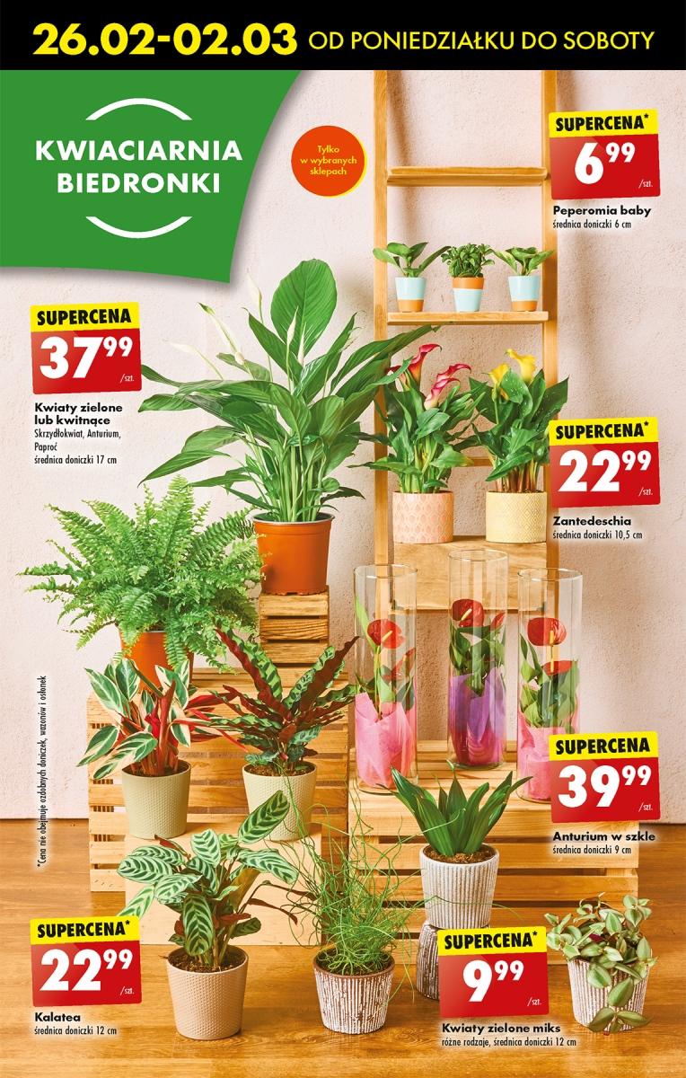 Gazetka promocyjna Biedronka str. 59