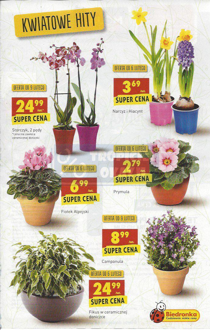 Gazetka promocyjna Biedronka str. 19