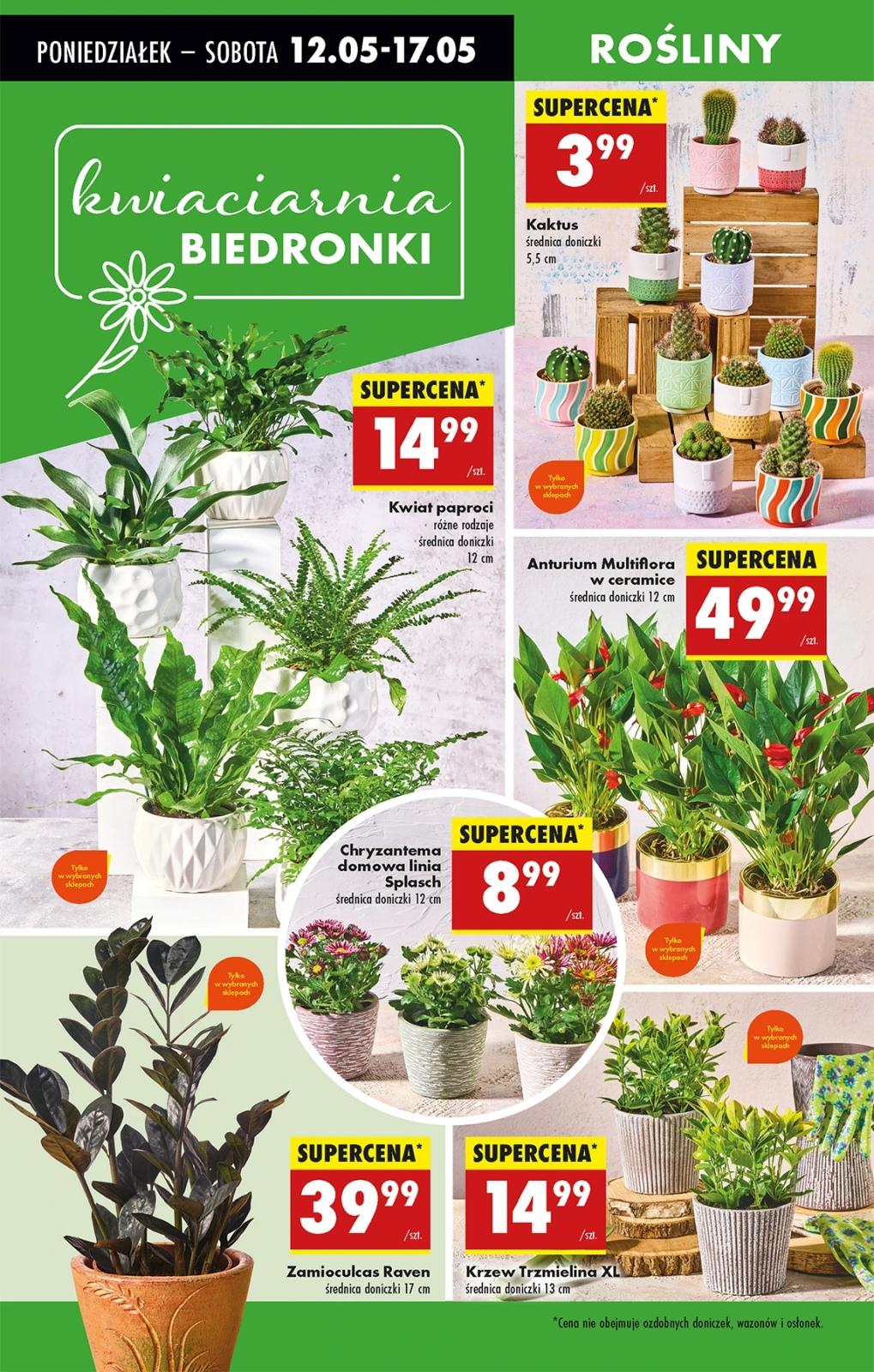 Gazetka promocyjna Biedronka str. 17