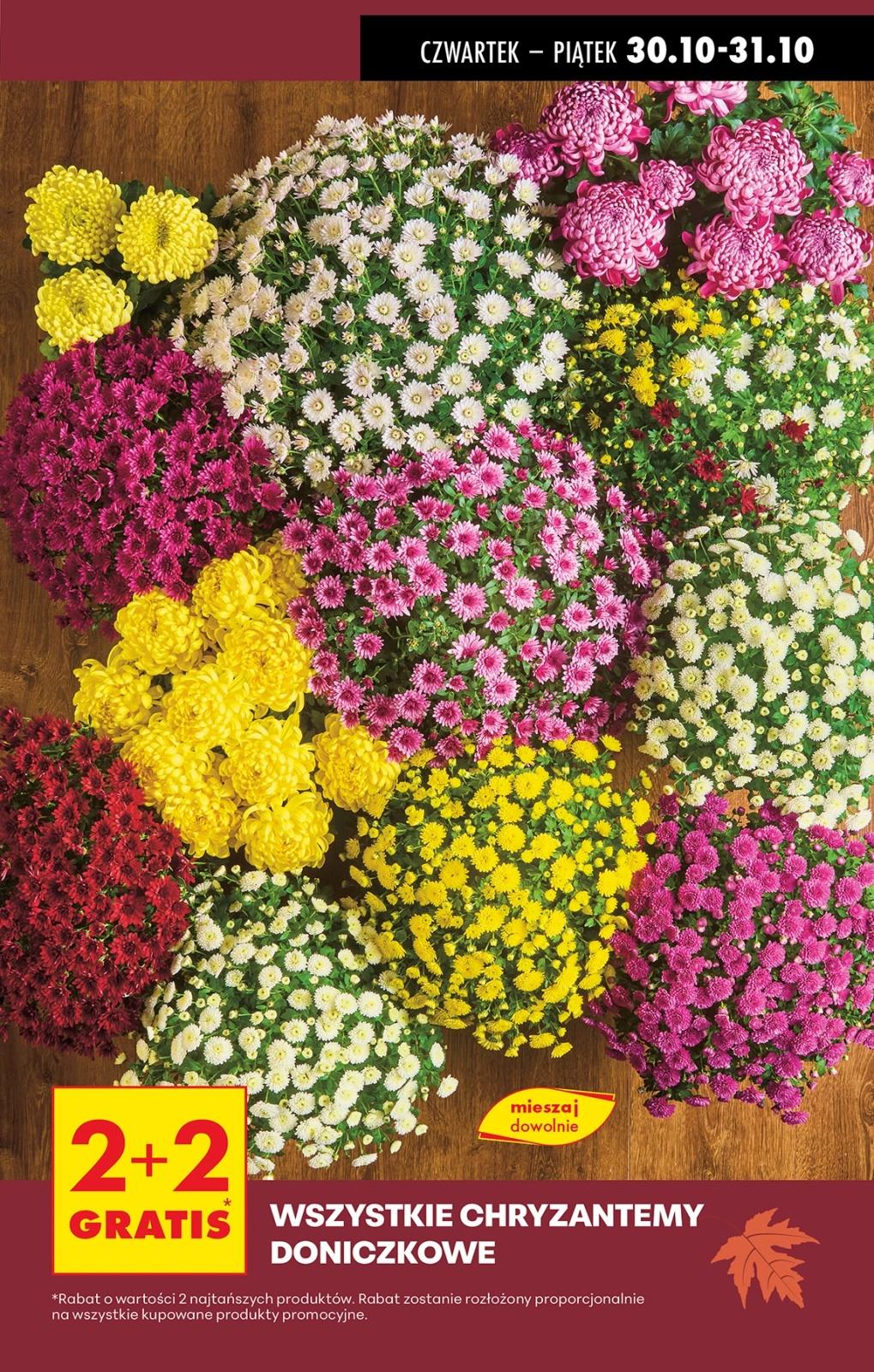 Gazetka promocyjna Biedronka str. 3