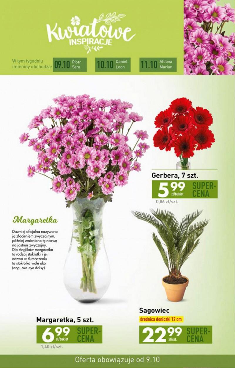 Gazetka promocyjna Biedronka str. 33