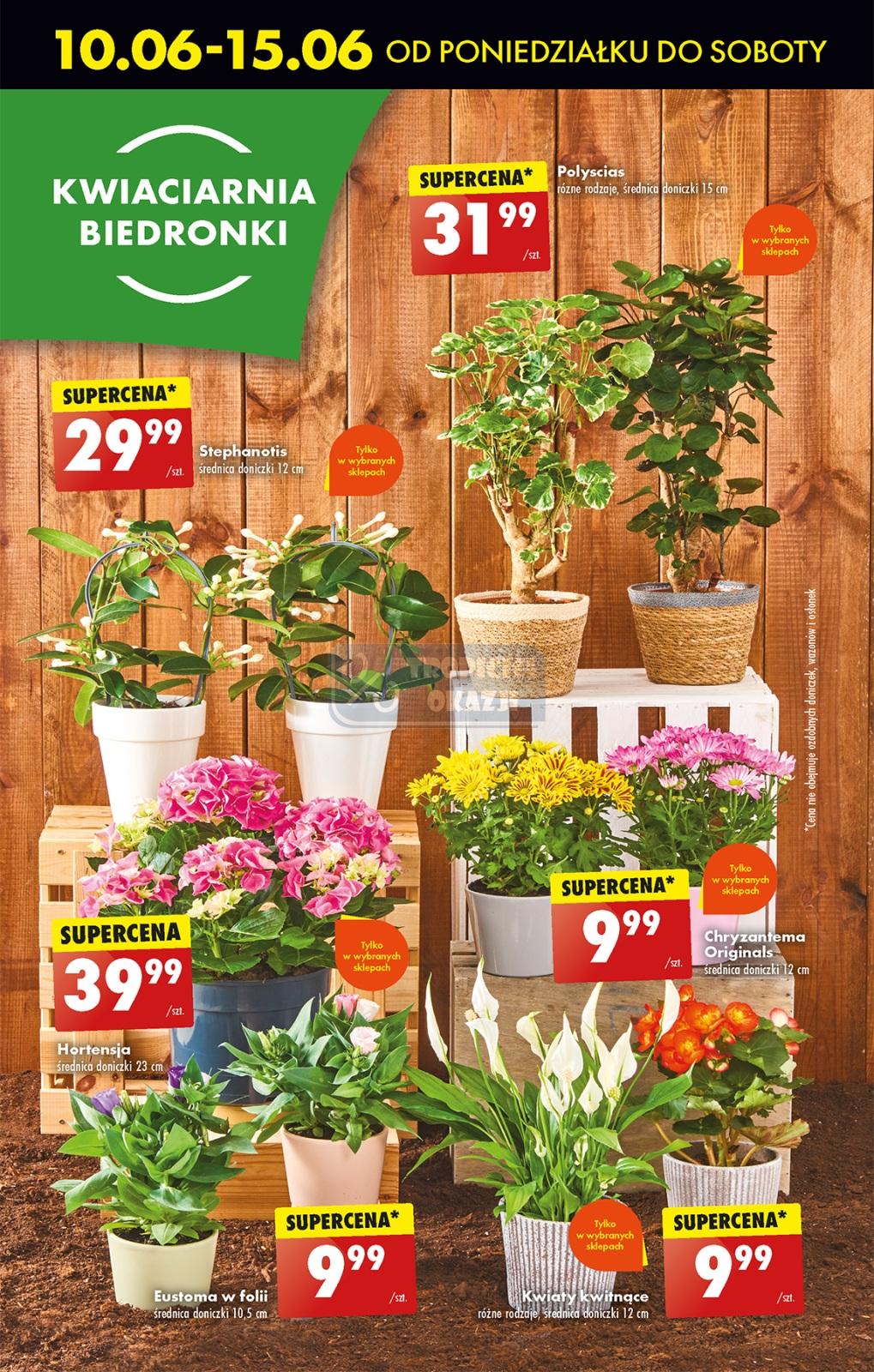 Gazetka promocyjna Biedronka str. 60