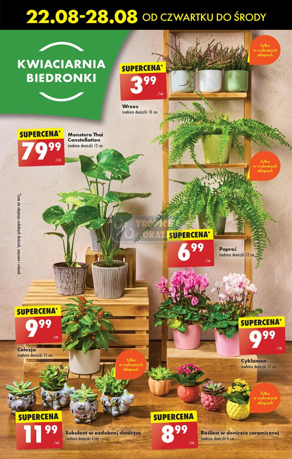 Gazetka promocyjna Biedronka str. 64