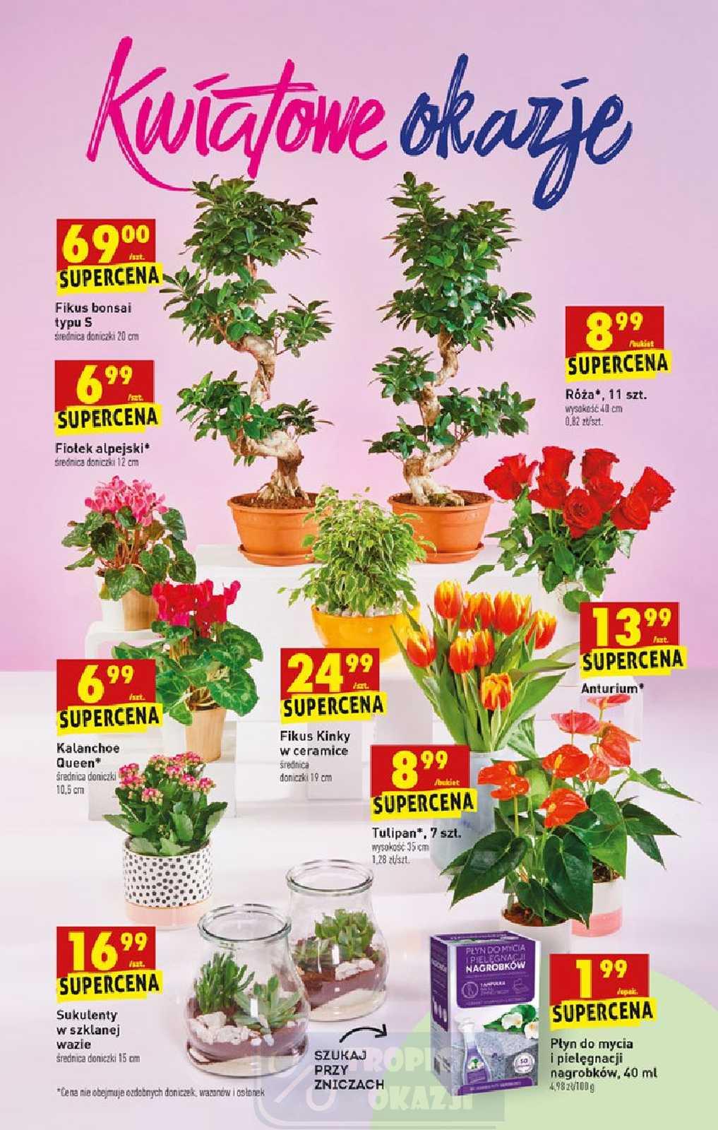 Gazetka promocyjna Biedronka str. 64