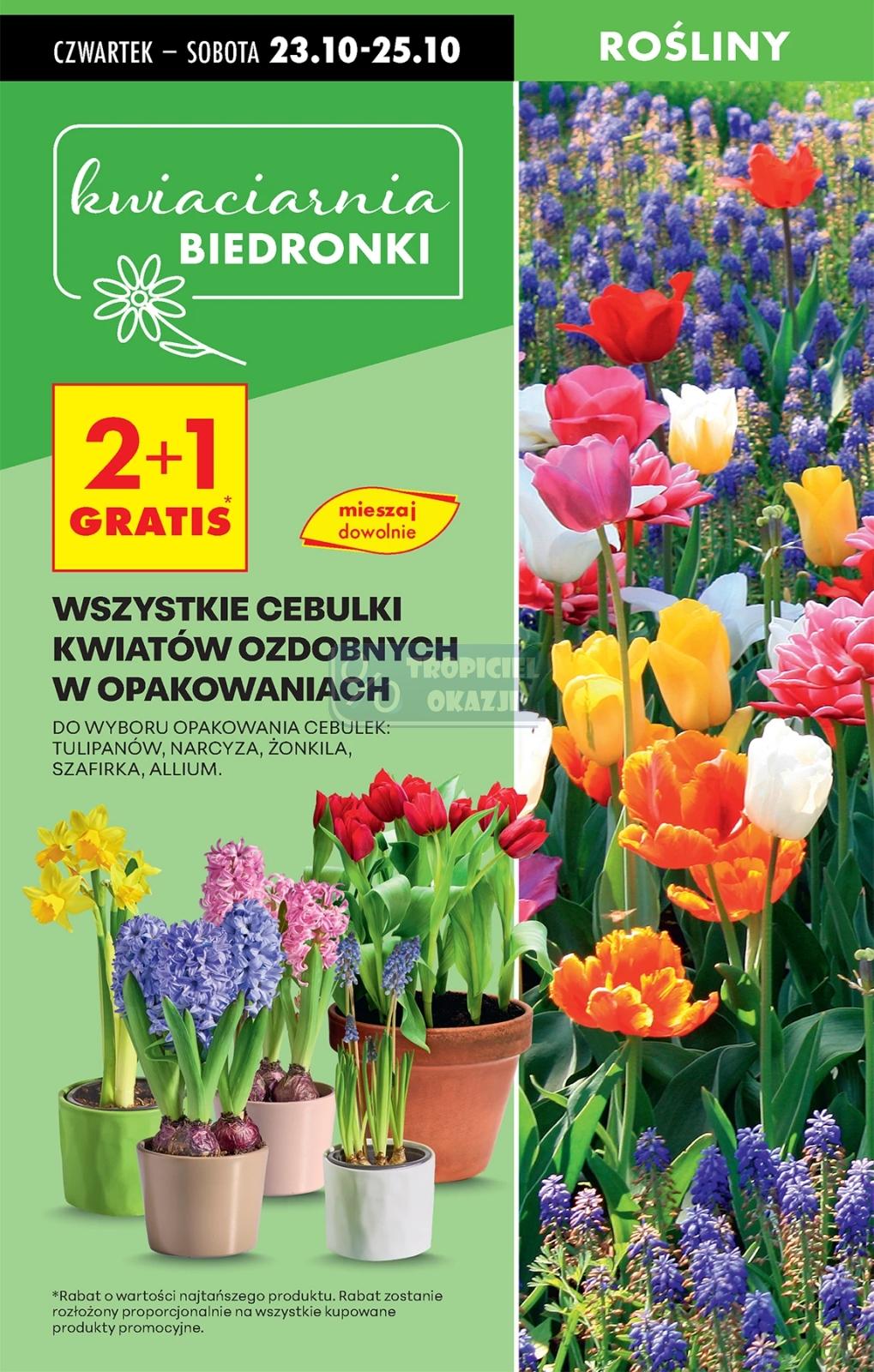 Gazetka promocyjna Biedronka str. 16