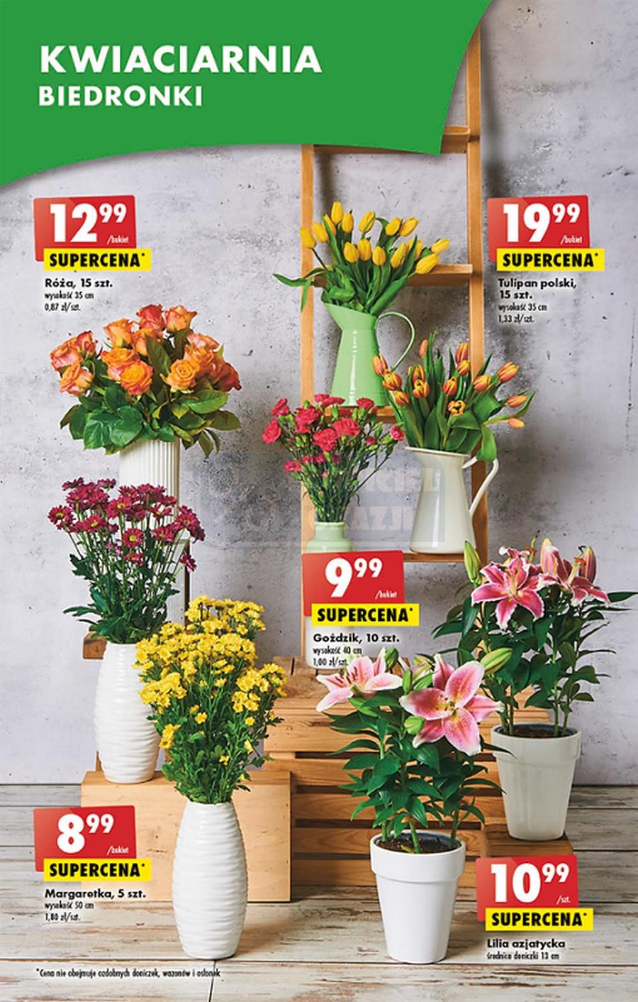 Gazetka promocyjna Biedronka str. 51