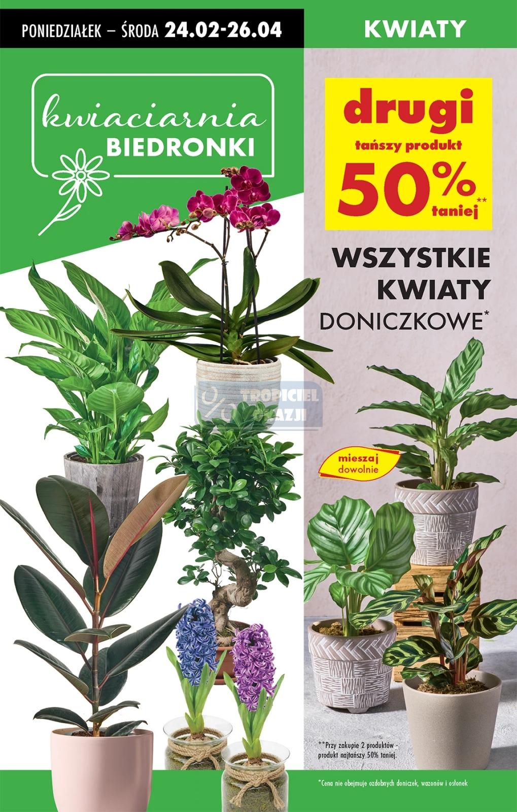 Gazetka promocyjna Biedronka str. 21
